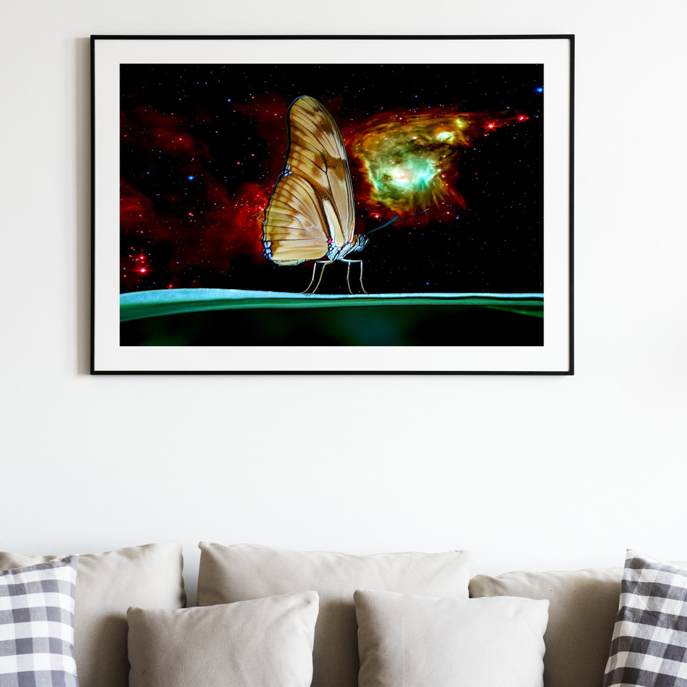 IU 02-06 Space butterflies.jpg