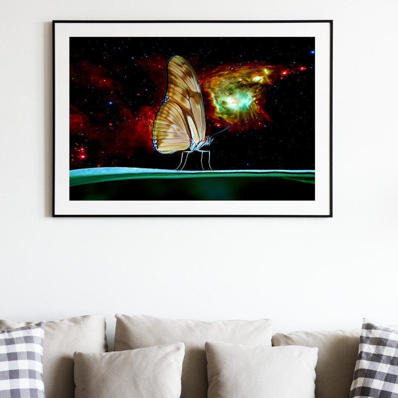 IU 02-06 Space butterflies.jpg