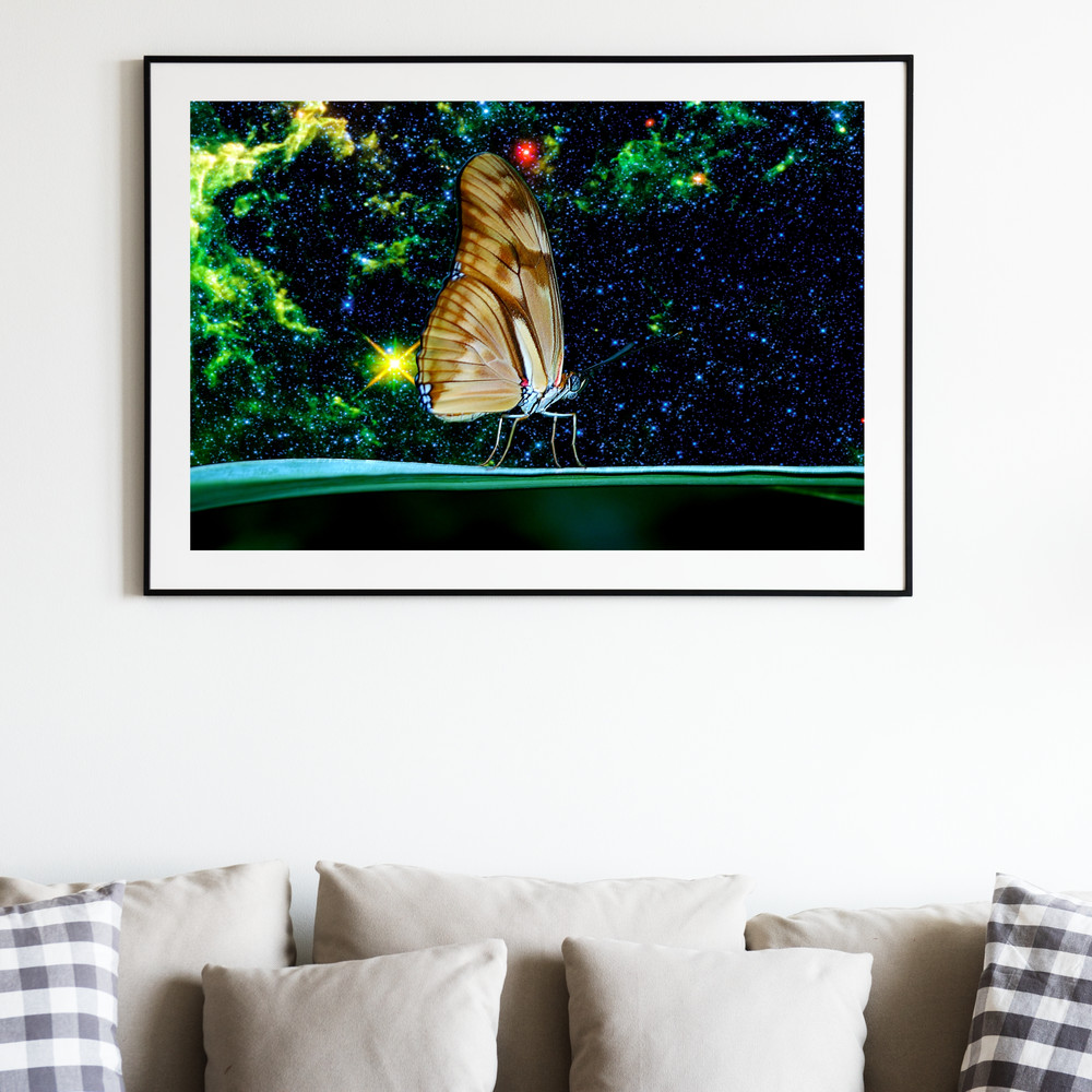 IU 02-07 Space butterflies.jpg