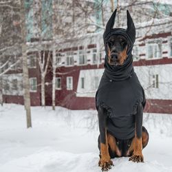 Pet Gift Doberman dog Coats Winter jacket Fall Rainy Weather Jackets with HAT - made to order and individually crafted