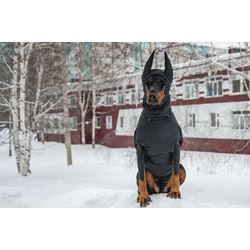 Pet Gift Doberman dog Coats Winter jacket Fall Rainy Weather Jackets with HAT - made to order and individually crafted