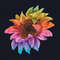 Rainbow sunflower pic 2.jpg