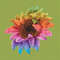 Rainbow sunflower pic 1.jpg