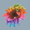 Rainbow sunflower pic 3.jpg