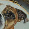 Custom felted pet portrait3.jpg