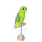 Green Parrotlet.jpeg