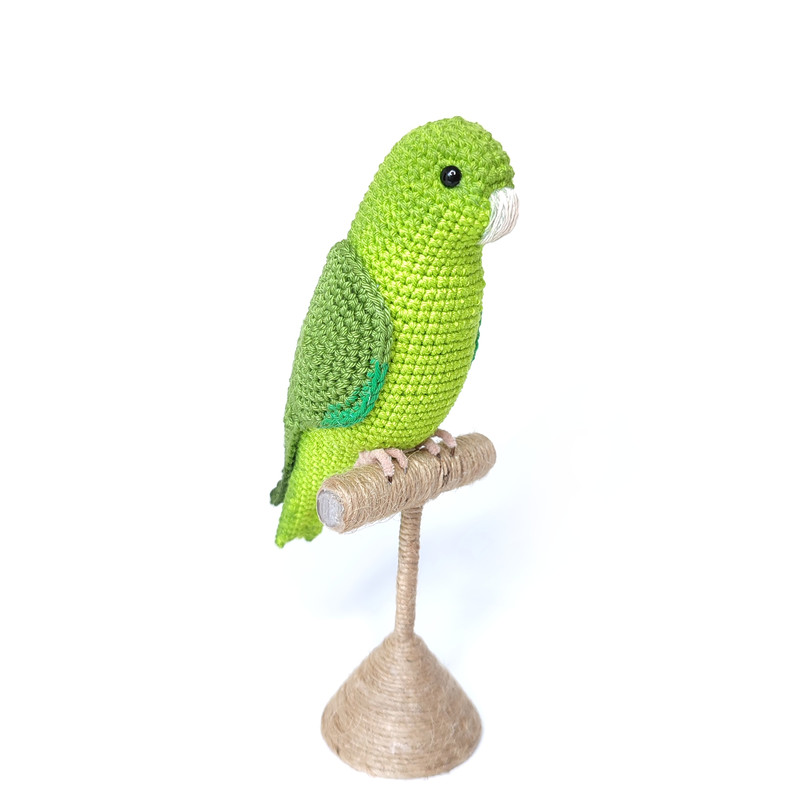 Green Parrotlet.jpeg
