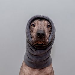 Custom Made Dog Winter Gray Fleece Snood Pitbull Handmade Hat Winter Fleece Snood Dog Ear Warmer Hood Dog Fleece Warmer