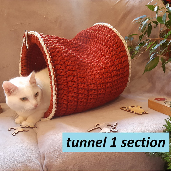 tunnel 1 section.jpg