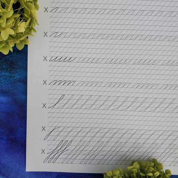 Printable A4 Spencerian Script Calligraphy Lowercase letters | Inspire ...