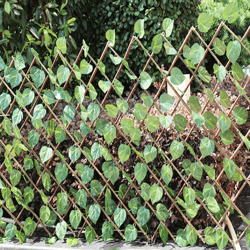 Artificial Garden Fence