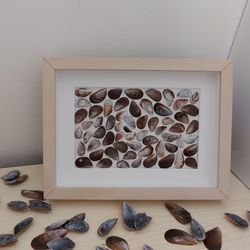 Collage of mussel shells. 5*7 inch(13*18cm). Shell Art. Sea mussels in a frame. Wall art made from seashells.