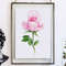pink rose-2.jpg