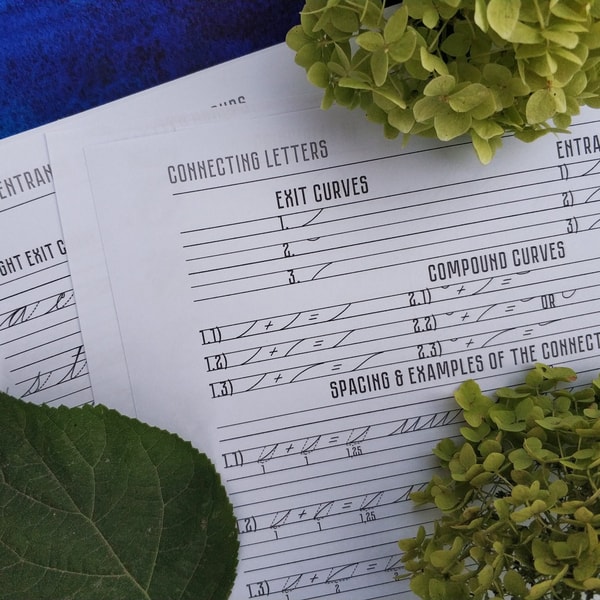 Spencerian Script Style Calligraphy Connecting letters and W | Inspire ...