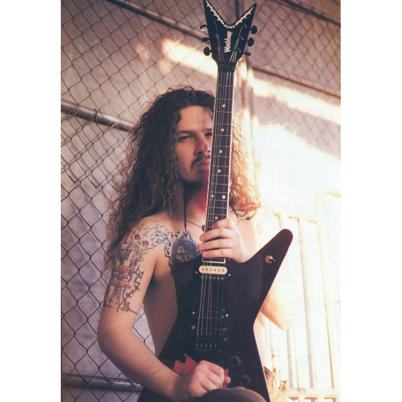 dimebag_darrell Washburn.jpg