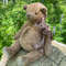 stuffed-teddy-bear-plush-by-zulfiya-saifullina.jpg