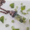 green bottle pendant____.jpeg