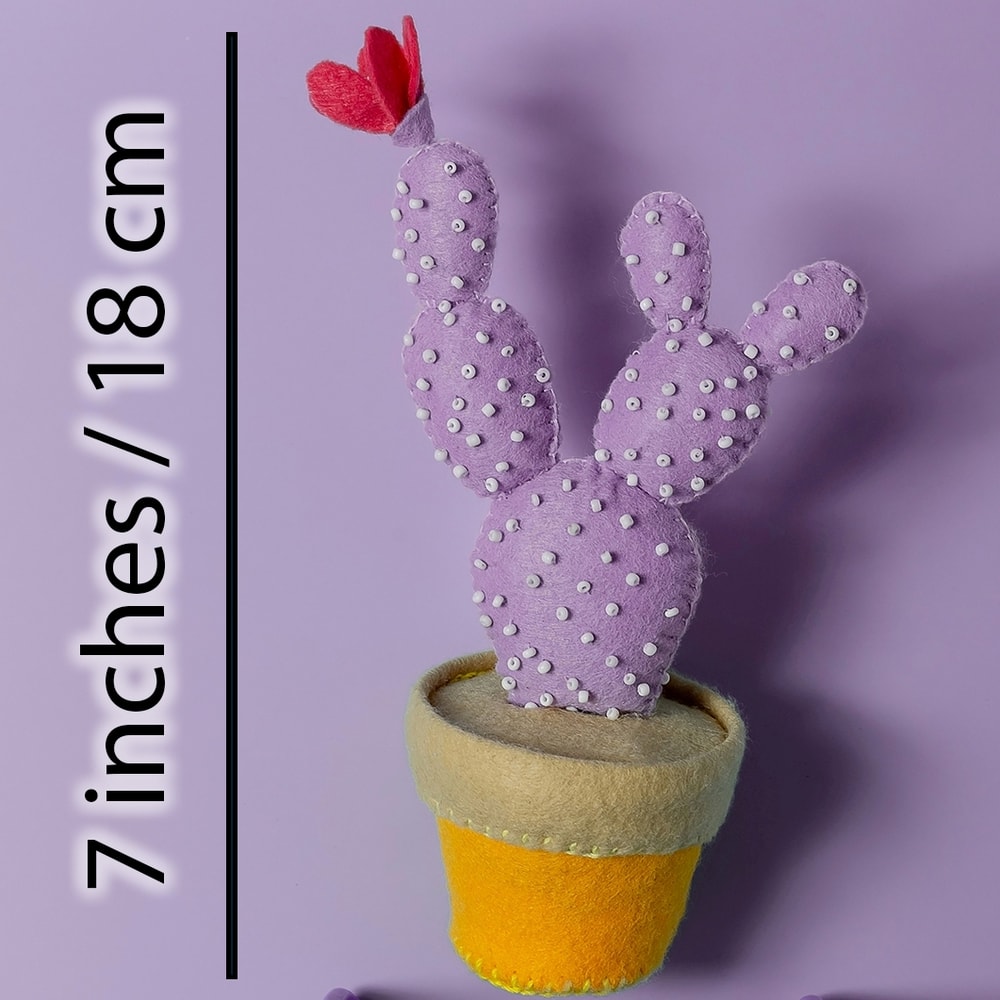 Кактус сиреневый 2 квадрат.jpg