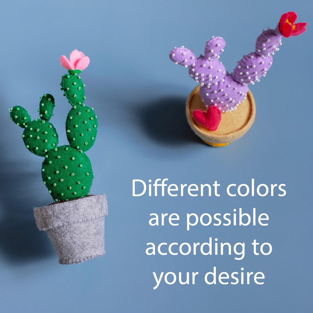 Два кактуса колючки 2 квадрат2.jpg