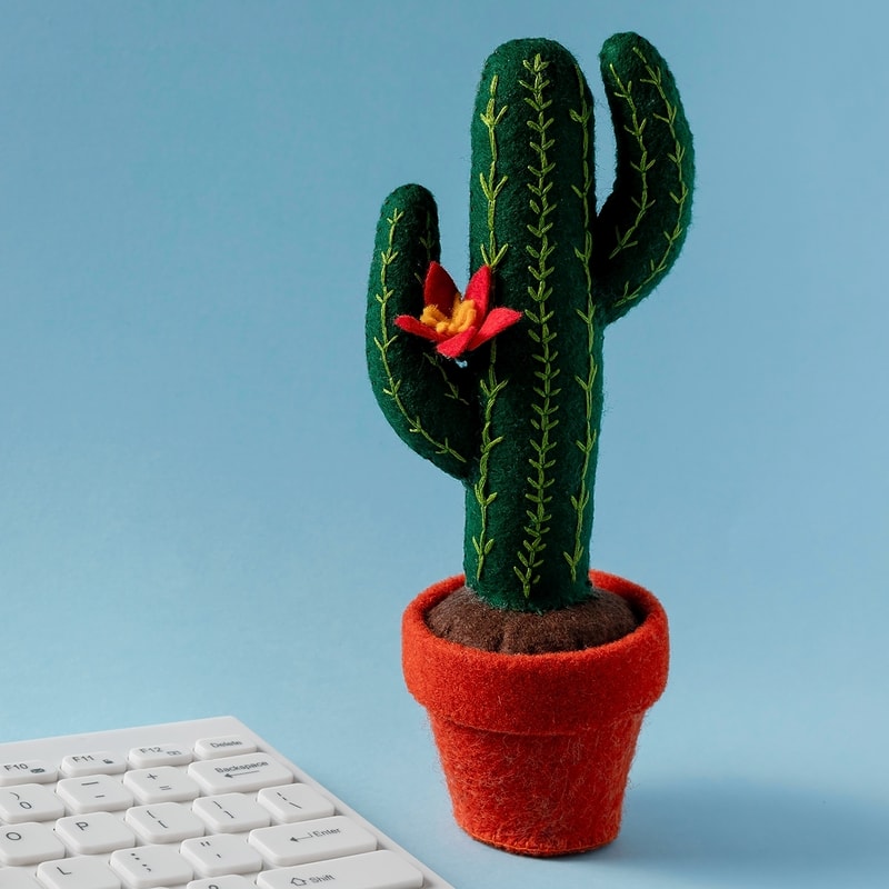 Сагуаро 1 квадрат.jpg