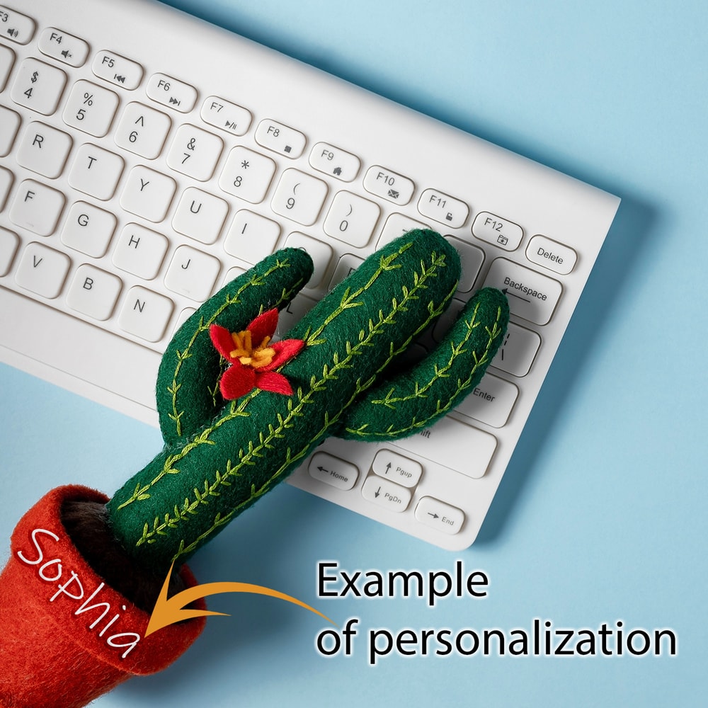 Сагуаро 3 квадрат.jpg