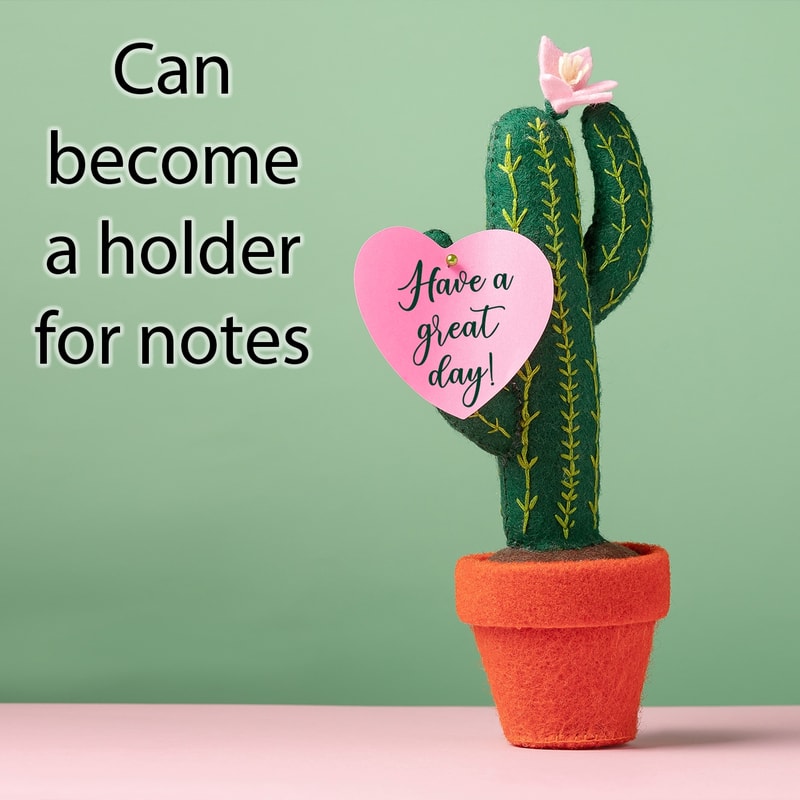 Сагуаро 5 квадрат.jpg