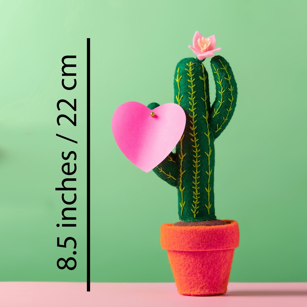 Сагуаро 6 квадрат.jpg