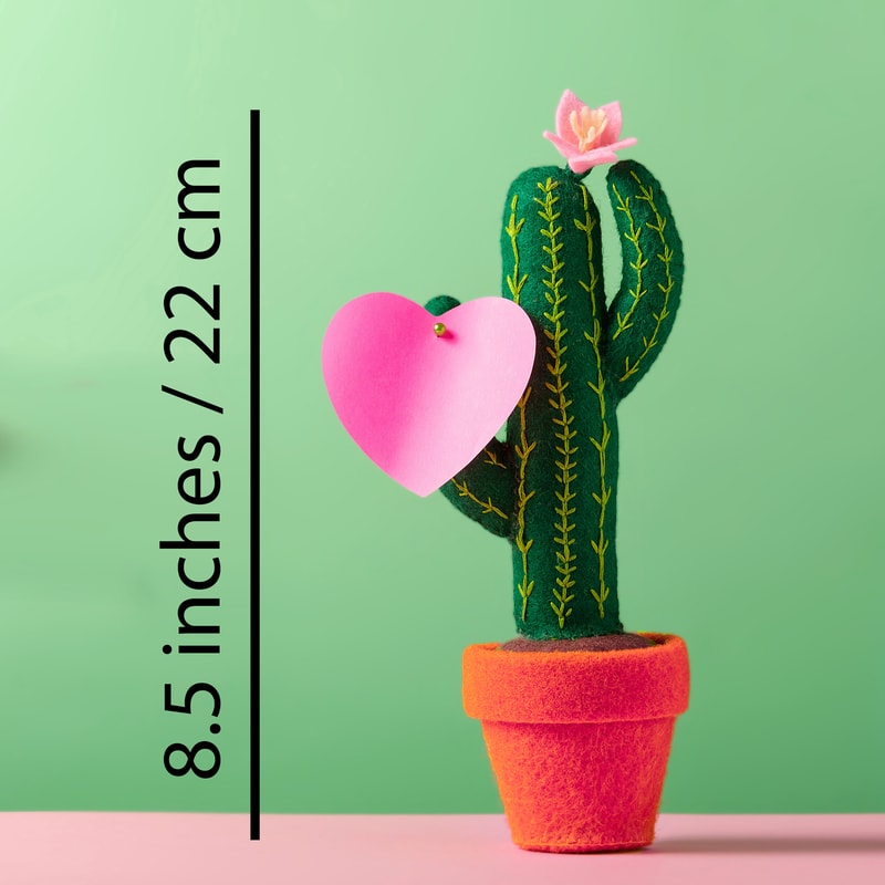 Сагуаро 6 квадрат.jpg