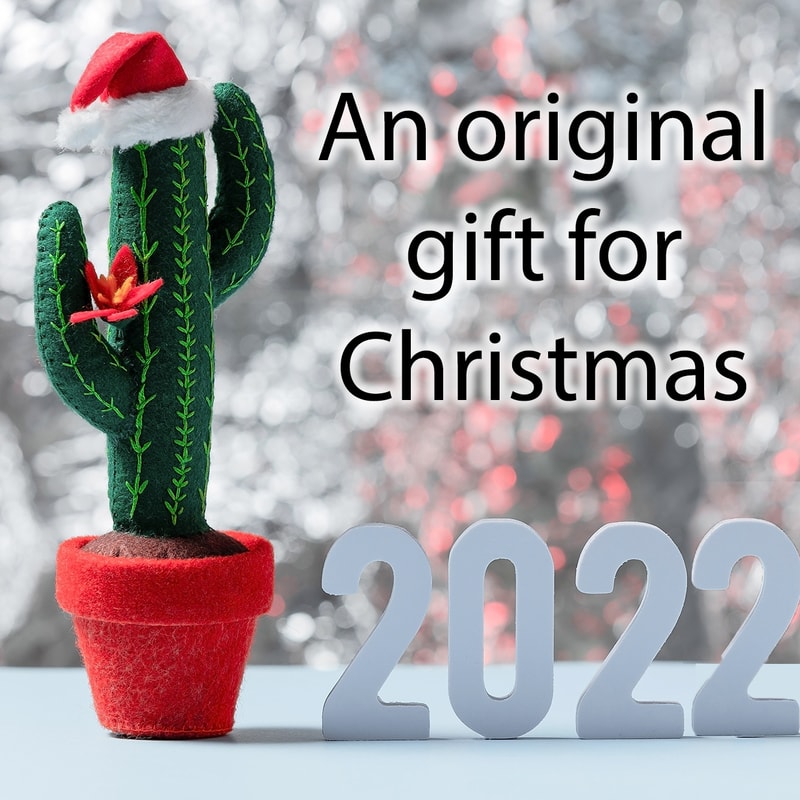 Сагуаро 7 квадрат.jpg