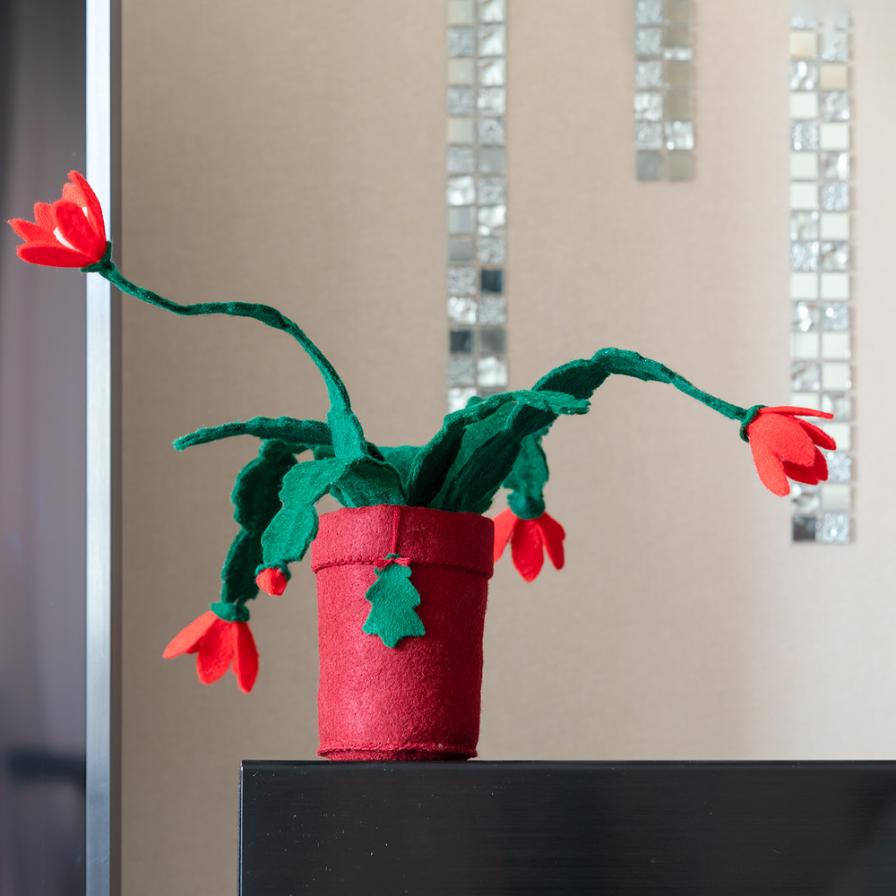 ΠΠ΅ΠΊΠ°Π±ΡΠΈΡΡ 5 ΠΊΠ²Π°Π΄ΡΠ°Ρ.jpg