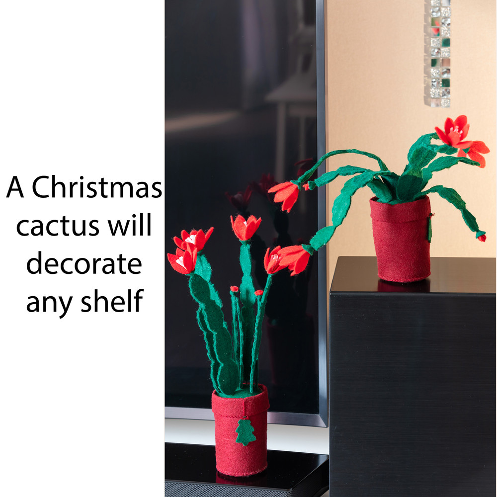 ΠΠ΅ΠΊΠ°Π±ΡΠΈΡΡ 12 ΠΊΠ²Π°Π΄ΡΠ°Ρ.jpg