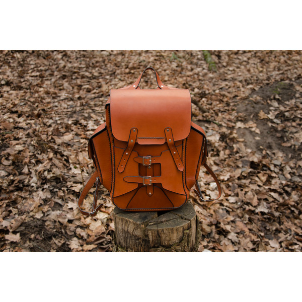 brown backpack.jpg