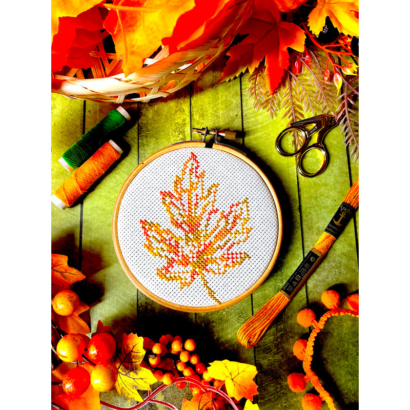 Variegated Small Maple Leaf photo 2.jpg