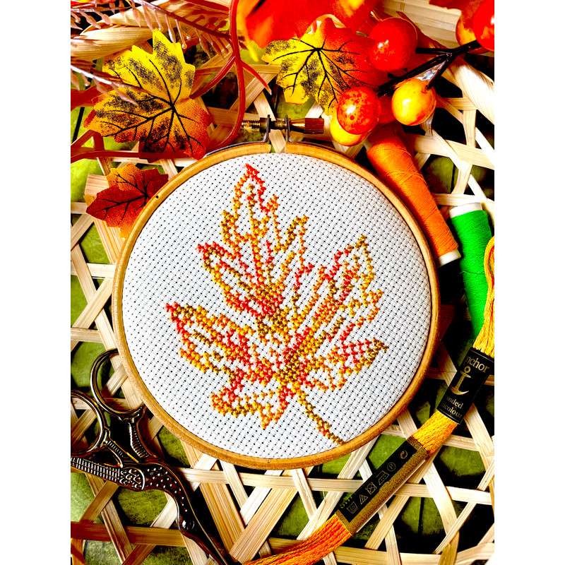 Variegated Small Maple Leaf new 3.jpg