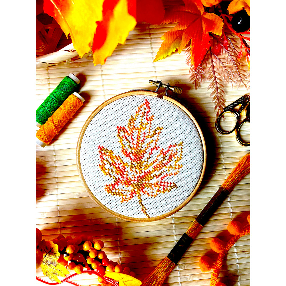 Variegated Small Maple Leaf new 5.jpg