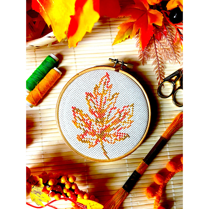 Variegated Small Maple Leaf new 5.jpg