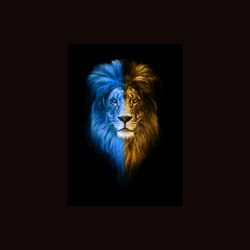 design  lion in the dark for t-shirts/hoodies