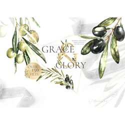 Watercolor Olive greenery illustration clipart. Botanical gold floral Frames,Wreaths,Alphabet, Numbers, posters, quotes.