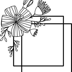 square frame daisy flowers vector