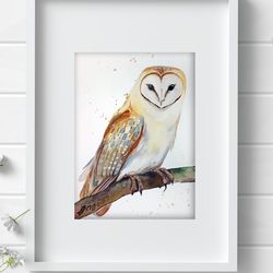 Common barn owl bird 5.3x7.9 inch original painting the white - faced owl art by Anne Gorywine
