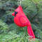 Red-cardinal-1.jpg