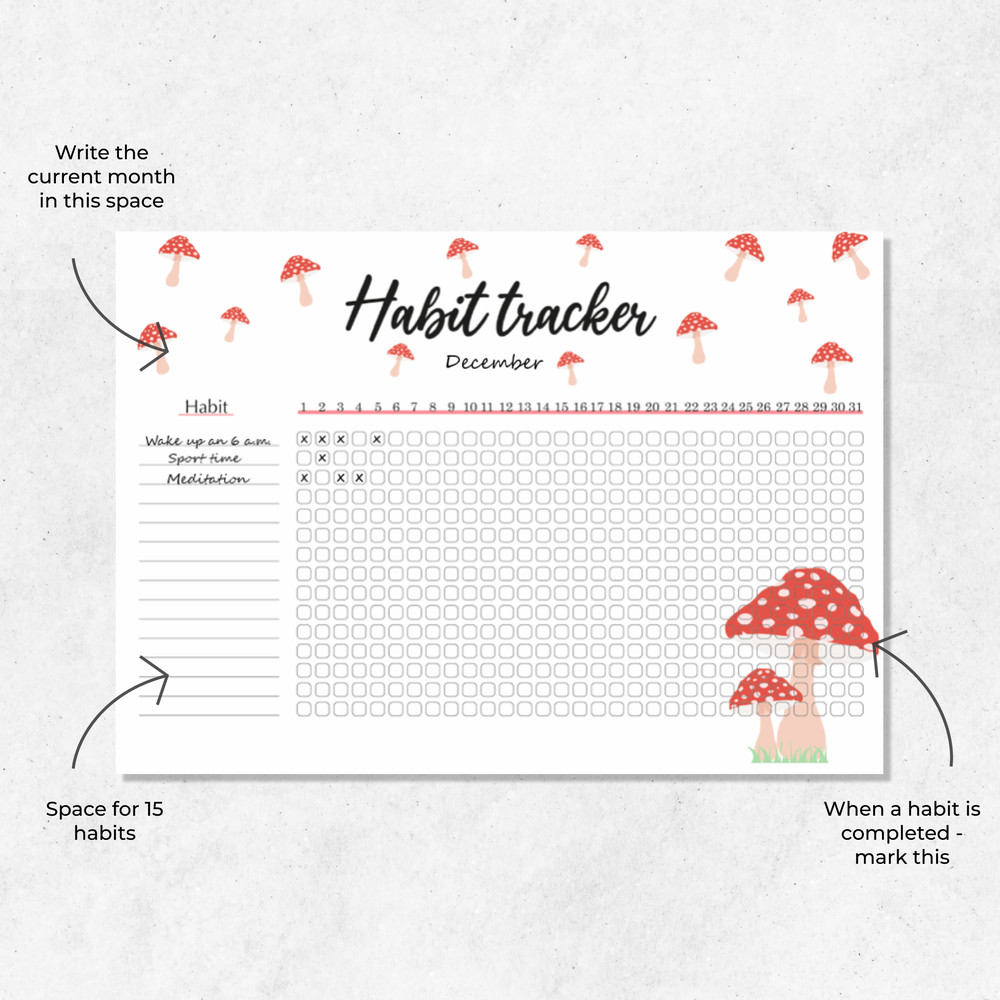 Instagram post - 6.jpg