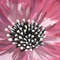 0661-foVWJGabZ8A.jpg