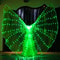 wings luminous costume green