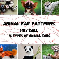 animal ear patterns, only ears, 14 types of animal ears