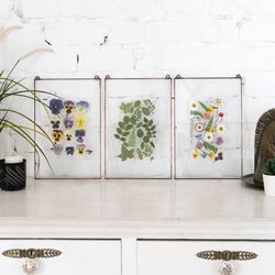 Set of 3 wall art framed Pressed flower decor Dried flowers frame Set of 3 wall art Pressed flower art Gift for her