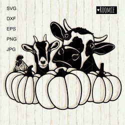 Autumn Farm Animals With Pumpkin Svg, Fall Halloween Farmhouse Sign