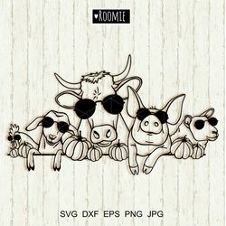 halloween farm animals with pumpkins and sunglasses svg, fall farmhouse sign
