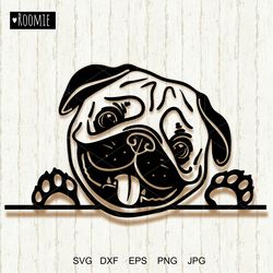 Pug Dog portrait svg, Cute Pug face, Paw Puppy Pet Clipart Vector Cut file Cricut Silhouette Cameo Vinyl Sublimation /2