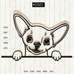 chihuahua svg file, dog face svg, dog puppy animal pet pup clipart vector cut file cutting cricut silhouette laser /6